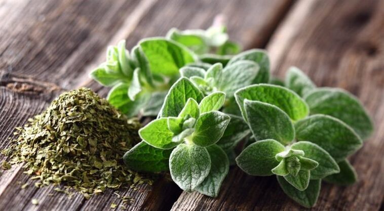 Oregano wirkt gegen Parasiten