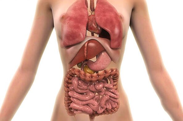 الطفيليات في جسم الإنسان