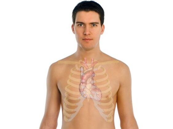 كيف تؤثر الطفيليات على أعضاء الإنسان